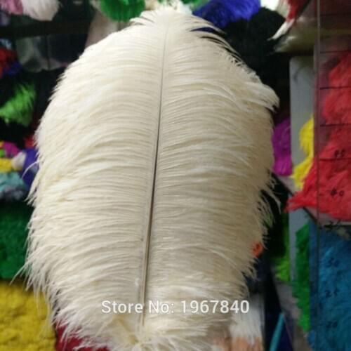 Wholesale 100 pieces /lot beautiful ivory white ostrich feathers 22-24 inches / 55-60 cm free shipping