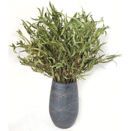 7 Stems Dried Natural Eucalyptus Branches Slender Leaves Flower Arrangement Decor No Vase