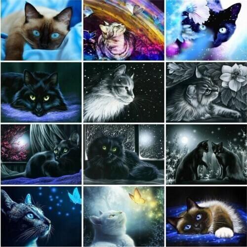 HUACAN Oil Painting By Number Animal Drawing On Canvas DIY Pictures By Numbers Cat Hand Painted Paintings Art Kits Home Decor