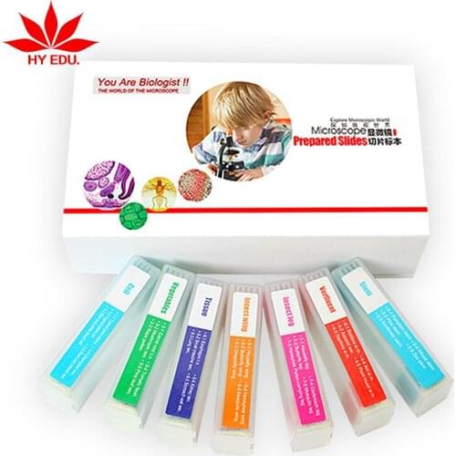 7 kinds 35 tablets Biological section microscope specimen Gift teaching instrument for primary and secondary schools