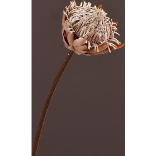 6 PCS Artificial Silk Flower King Protea DIY Floral Arrangement Fake Dry Emperor Flowers Home Party Wedding Table Decoration