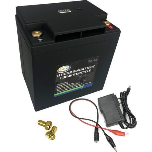 LiFePO4 Battery 12V Lithium Iron Phosphate Motorcycle Battery with BMS Voltage Protection 30L-BS For Harley,Snowmobile,Motorboat