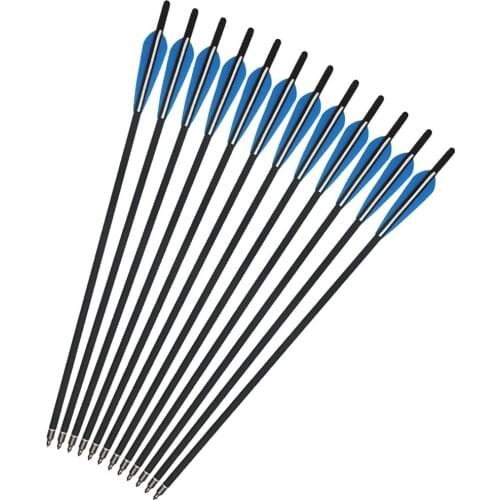 17"/20"/22" Crossbow Bolts 8.8mm Shaft Carbon Arrows for Crossbow Hunting Archery Arrows with Half Moon Nock and Replaceable Tip