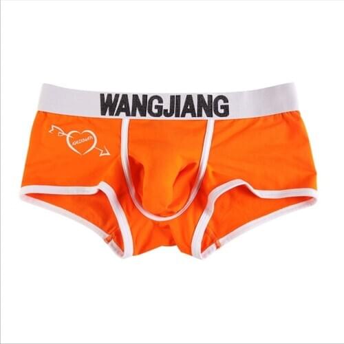 Brand men boxer sexy gay underwear shorts transparents male cotton pants boxershorts hombre cueca