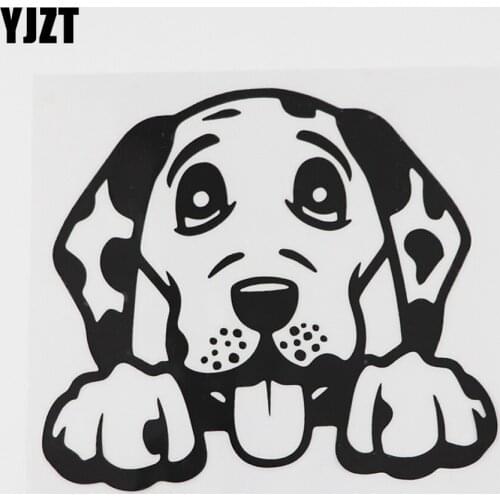 YJZT 13.4CMX11.9CM Cute Dalmation Peeking Dog Vinyl Car Sticker Black/Silver 8A-0603