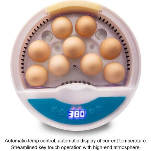 Mini 9 Egg Incubator Farm Hatching Digital Temperature Humidity Automatic Control Brooder Poultry Quail Chicken Duck Bird LED