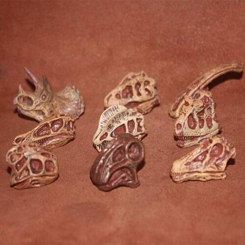 Genuine special die-cast PVC miniature scene simulation dinosaur skull decoration collection toys