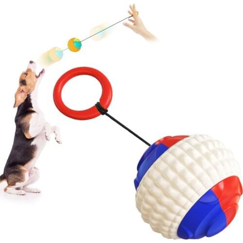 1pc Pet Tossing Ball Dog Training Toy Ball Molars Ball Game Dog Toys Pet Interactive Toys Dog Supplies Dogs Pets Accessories
