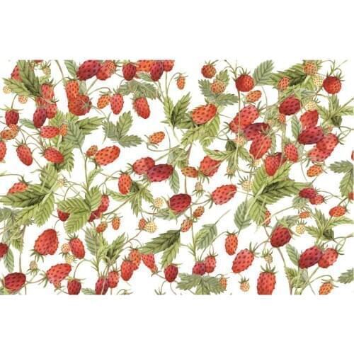 Happy Birthday Fruit Backdrop Lovely Strawberry Photography Background Celebration Photo Booth Studio Decor