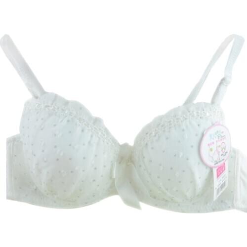Lace Bras Push Up Bra Bowknot Lingerie Women Underwear Underwired Brassiere
