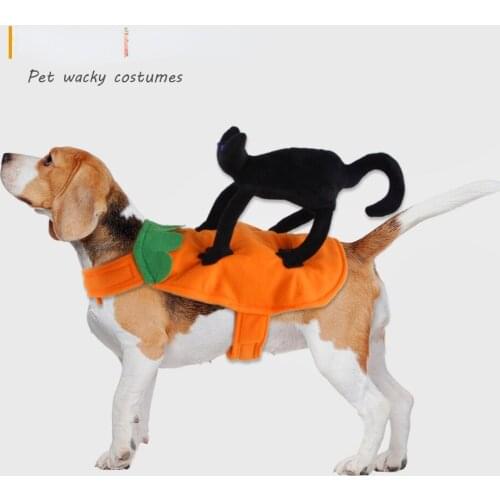 Pet Clothes Halloween Funny Bat Pet Hoody for Small Dogs Cat Costume Warm Dog Coat Spider Jacket Chihuahua Pet Supplies