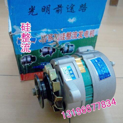 Pulley type miniature small AC/DC silicon rectifier generator power 14v500w voltage regulator