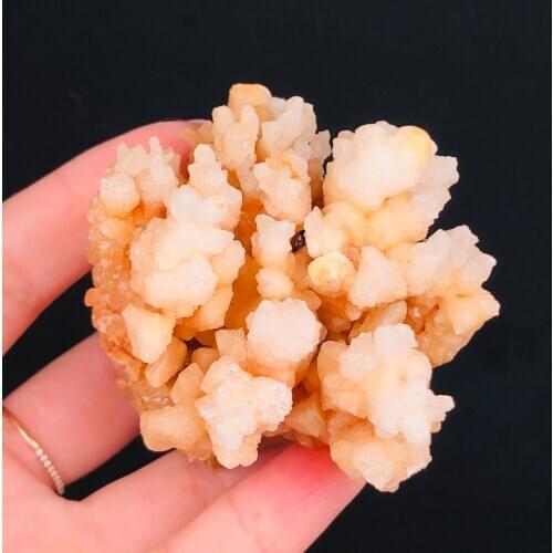 Natural Calcite Coral Mineral Crystal Specimens Stones Healing Home Decor