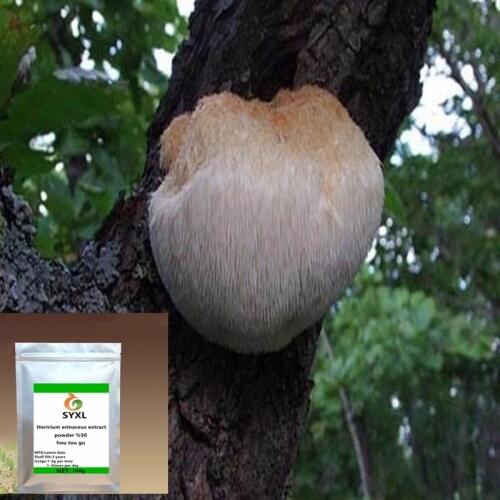 Hericium Erinaceus Extract /hou tou gu/Polysaccharide Powder Lions Mane Mushroom Extract Polysaccharide 99