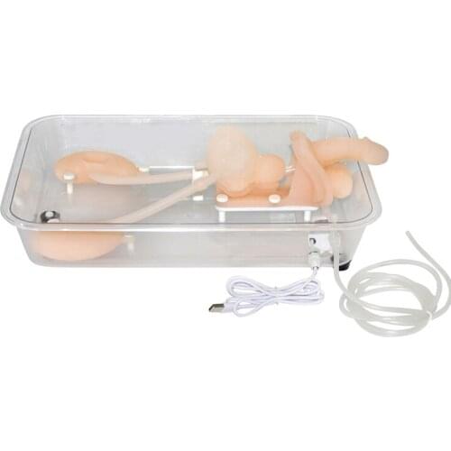 Ureteroscopy simulation training model Urinary organ structure model silicone kidney model