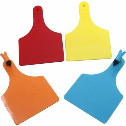 Farm Equipment Cattle Cow horse camel Ear tag Earrings Livestock Feeding Tools No words Cattle Colors ear tag Animal Tool 50 Pcs