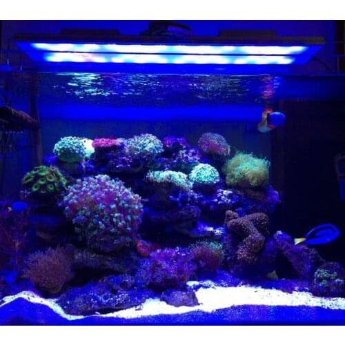 LED Spectra Nano Aquarium Light Saltwater Lighting with Touch Control for Coral Reef SPS LPS special fish tank light stand