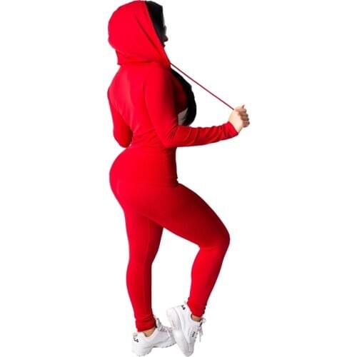 Women Sports Casual 2 Piece Sets Tracksuit Long Sleeve Zip Hooded Sweatshirt Outwear+Pants Legging Running Jogging Yoga Outfit