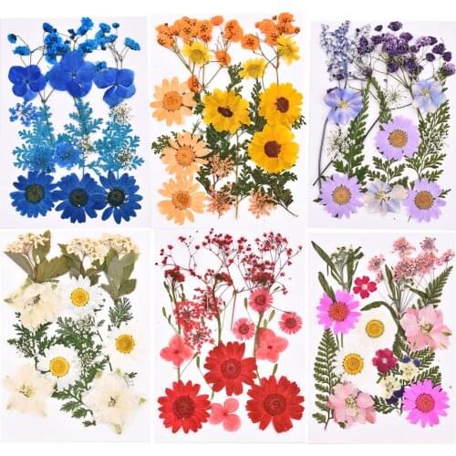 Real Natural Dried Flowers UV Resin Nail Art Stickers Dry Flower Beauty Makeup Decal for DIY Epoxy Resin Filling Jewelry Making