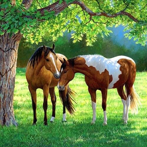 DIY Horse 5D Diamond Painting Full Round Drill Embroidery Cross Stitch Kit Rhinestone Modern Paintings Decoration Art On Canvas