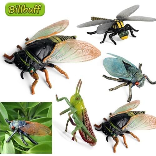 Simulation Insects Animal PVC Cicada Locust Dragonfly Action Figures Collection Miniature Cognition Educational Toy for Children