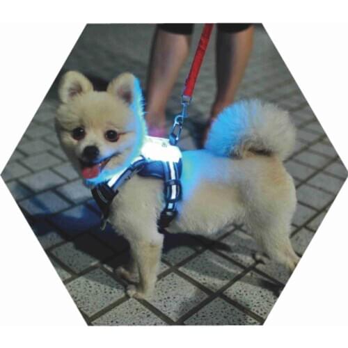 CC Simon Led Dog Harness 7 in 1 color dog harness and leash set for large dogs