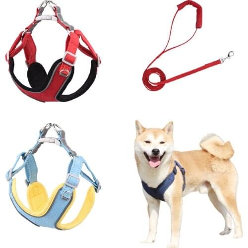 Первый питомец AESOPET China At AliExpress