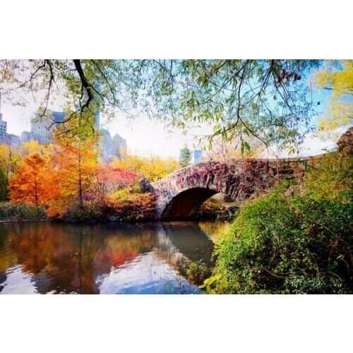 Oneroom Dmc Cross stitch series Home decoration 14/16/18/28 Diy Needlework kits embroidery Cross stitch kit River autumn