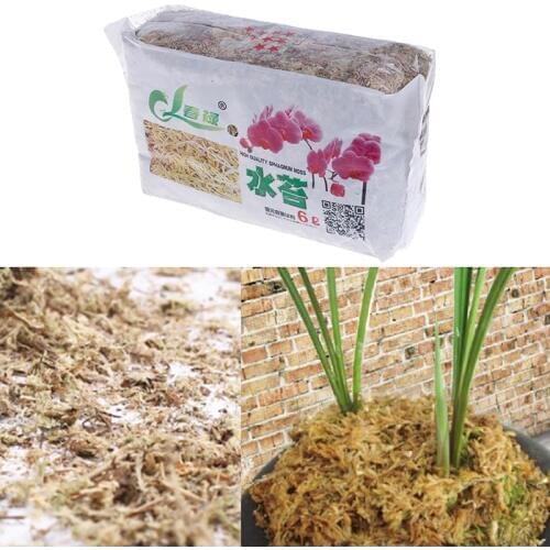 6L Sphagnum Moss Garden Supplies Moss Sphagnum Moisturizing Nutrition Organic Fertilizer For Orchid Phalaenopsis