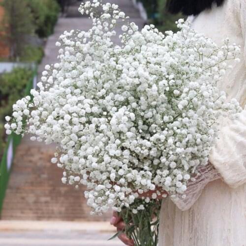 Artificial Flowers Babys Breath Natural Bouquet of Dried Flowers Gypsophila Wedding Decor DIY Photo Props Flower Heads Branch
