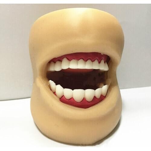 1:1 Large Good Quality Oral Simulation Practice System Dental Phantom Head for Dental School Tooth Care Health Model with Cheek