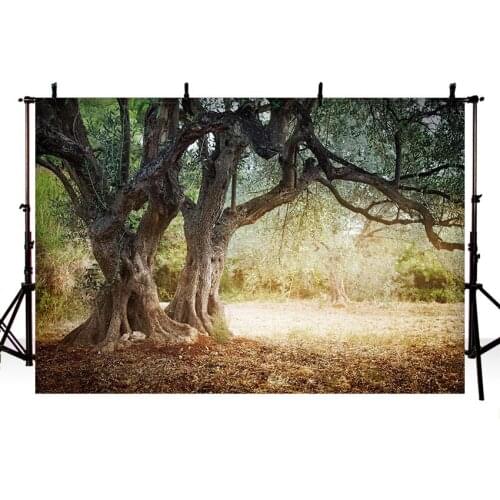 Art Fabric Photography Backdrops Natural Scenery Old Tree Backdrop Fotografica Photography Studio Photo Background