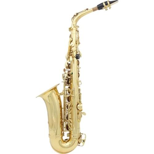 Student Alto Saxophone E Flat Alto Sax Full Kit With Carrying Sax Case Mouthpiece Straps Reeds