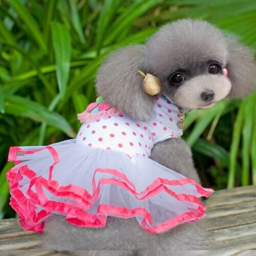 Cherry Print Cute Pet Product for Dog Dress Cat Skirt Dog Clothes for Small Medium Dogs Teddy Yorkie Pet Clothes Mascotas XS-XXL