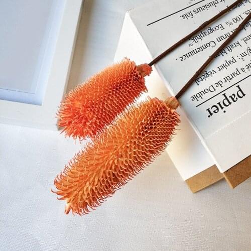 10pcs Fruit Dried Flowers Bouquet Art Driedchristmas flowers decoration home wedding flowers