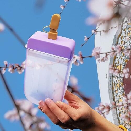 Cute Water Bottles with Straws, Popsicle Straw Cups, Leakproof Plastic Ice Cream Popsicle Cups with Strap, Juice Drinking Cup