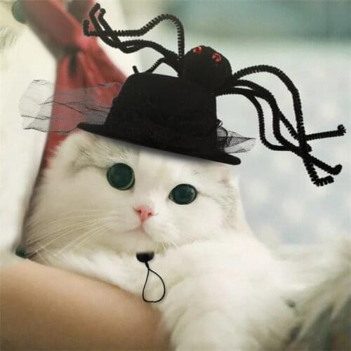 Funny Halloween Cat Costume for Cats Dogs Cosplay Spider Hat Dress Up Headdress Decorative Festival Clothing Pet Accessories