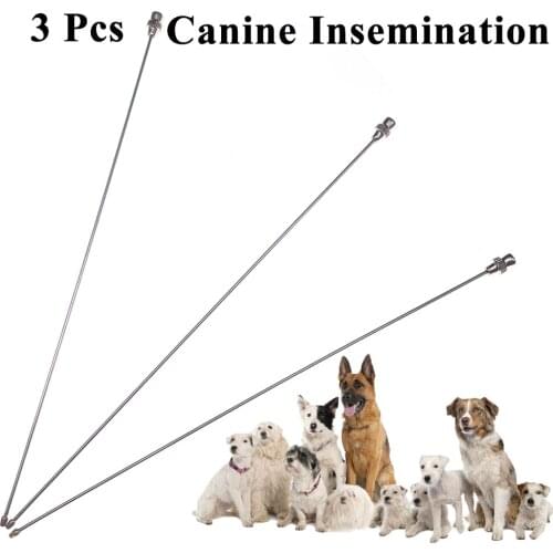 3PCS Dog Canine Artificial Insemination Needle Semen Injection Fresh Sperm Stainless Steel Pet Sheep Goat Veterinary Clinic