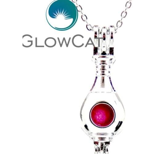 Ch-LL595 Bright Silver Perfume Bottle Beads Cage Pendant Essential Oil Diffuser Pearl Cage Locket Necklace Women Girl Gift