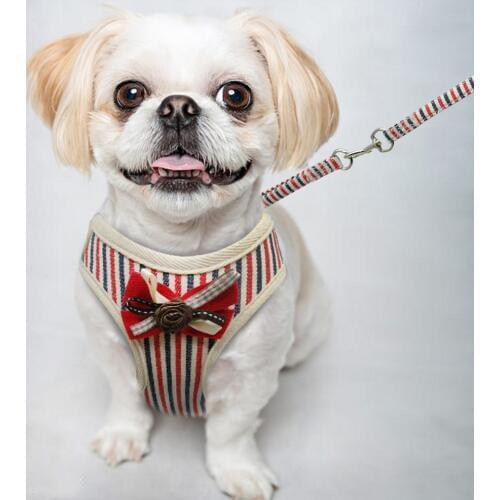 Small Dog Harness Set Pet Cat Vest Harness With Bowknot Mesh Padded For Small Puppy Dogs Chihuahua Yorkies Pug Dog Accessories