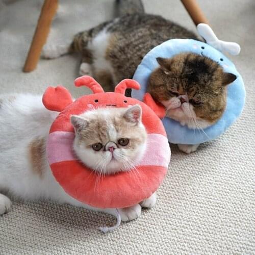 Ошейники для кошек COCKCON China At AliExpress