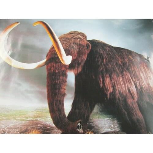 Dinosaur Art print Silk poster Home Wall Decor