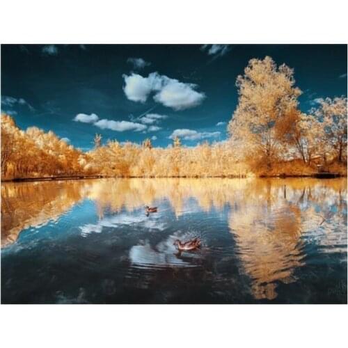 Landscape diamond painting by numbers lake duck mosaic art canvas embroidery stickers rhinestone picture puzzle wall paper craft