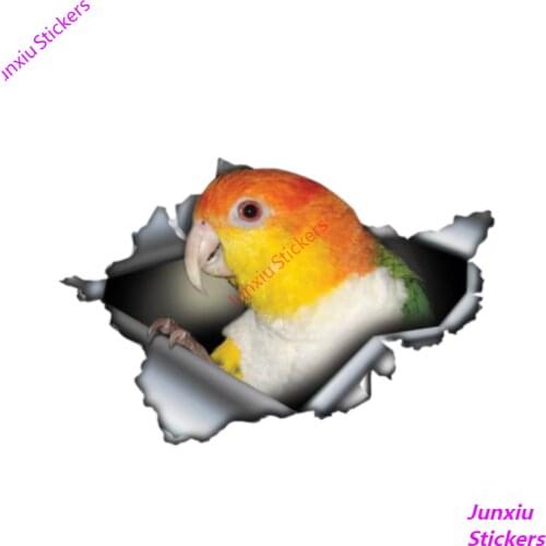 Wild Boar Car Decal 3D Pet Graphic Car Stickers Vinyl Decal for Car Bumper Bodywork Windshield Scratch-Proof Decoration KK13*5cm