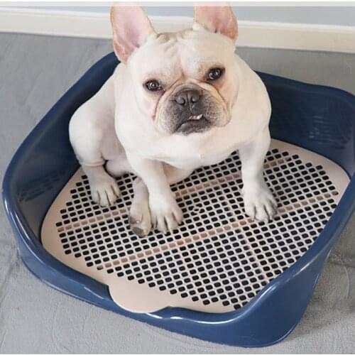 2 size Portable Cat Dog Toilet Plastic Training Kitten Rabbit Doggy Pots Basin For Pet Puppy Indoor Defecate Supplies Product
