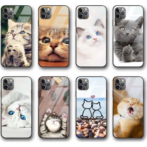 Ciciber Cute Cat Kitten Funda Case for iphone 12 Case for iphone 12 11 Pro XS Max mini XR X 7 8 6 6s Plus SE 2020 Glass Shell