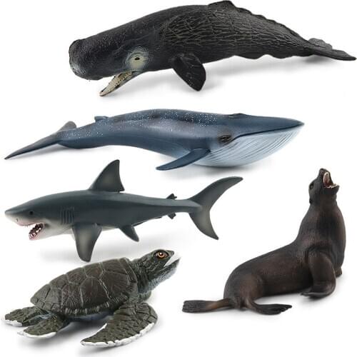 Simulation Marine Life Animal Shark Ballen Whale Sea Lion Squid Hippocampus Action Figure Model Educational Toy