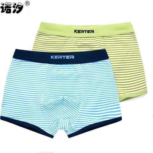 2 pcs/lot Boys clothes boys underwear pure cotton pants very soft&comfortable breathable kids boxer kids clothes teenage pants