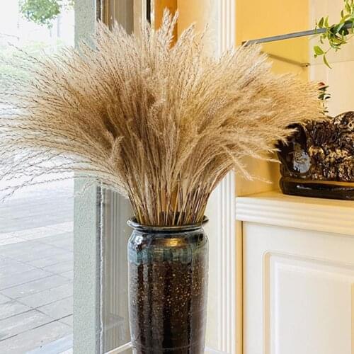 50/100 Pcs Dried Natural Flowers Pampas Grass Reed Phragmites Flower Plants Bouquet For Wedding Party Home Table Decoration