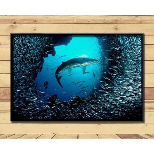 Shark Huge Strong Marine Animal (9) Wall Posters Prints Silk Art Painting For Home Wall Bedroom Decor